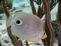IMG_3598