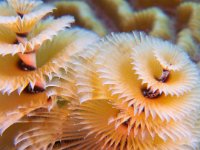 IMG_3635