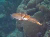 IMG_3705