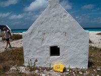 IMG_3881