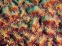 img_3620