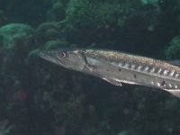 img_3655