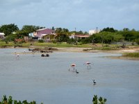 img_3891