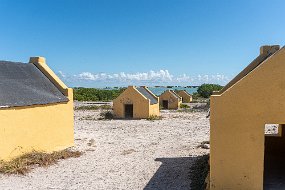 Bonaire 2019-103