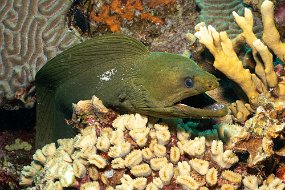 Bonaire 2019-156