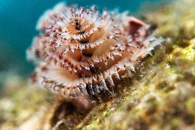Bonaire 2019-239
