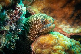 Bonaire 2019-273
