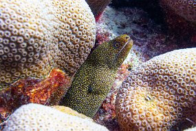 Bonaire 2019-3