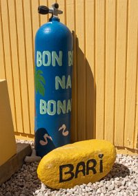 Bonaire 2019-303
