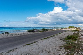 Bonaire 2019-39