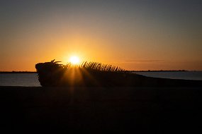 Bonaire 2019-70