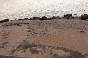 Bonaire 2019-80