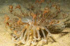 Bonaire 2019-89