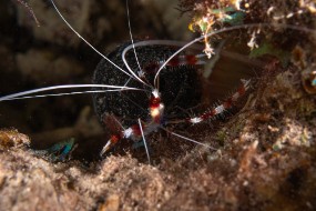 Bonaire 2022-115