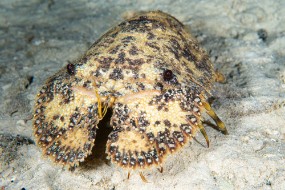 Bonaire 2022-121