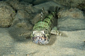 Bonaire 2022-128