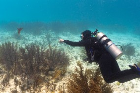 Bonaire 2022-134