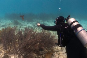 Bonaire 2022-135