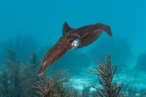 Bonaire 2022-143