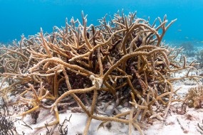 Bonaire 2022-149