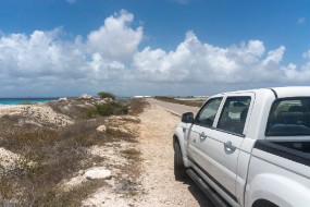 Bonaire 2022-151