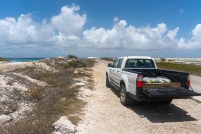 Bonaire 2022-153