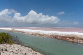 Bonaire 2022-156