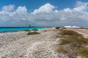 Bonaire 2022-157