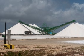 Bonaire 2022-159