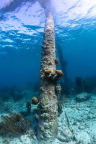 Bonaire 2022-168