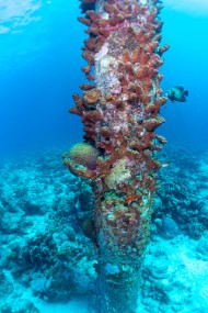 Bonaire 2022-178
