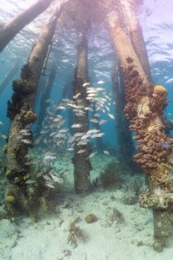 Bonaire 2022-180