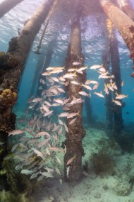 Bonaire 2022-182