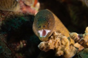 Bonaire 2022-19
