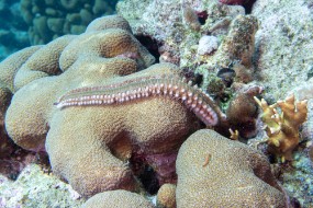 Bonaire 2022-199