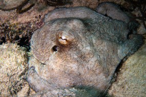 Bonaire 2022-27
