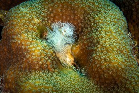 Bonaire 2022-3