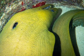 Bonaire 2022-31