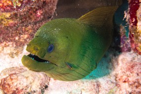 Bonaire 2022-55