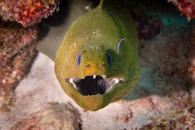 Bonaire 2022-56