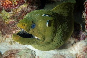 Bonaire 2022-58