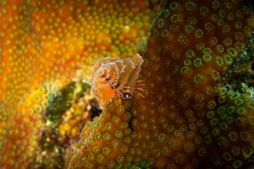 Bonaire 2022-6