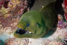 Bonaire 2022-61