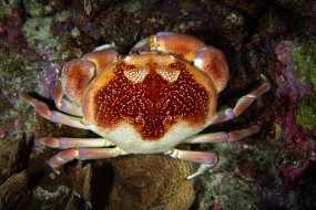 Bonaire 2022-66