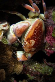 Bonaire 2022-67