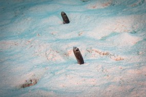 Bonaire 2022-8