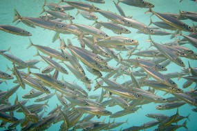 Bonaire 2022-90