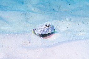 Bonaire 2024 - Nov-102