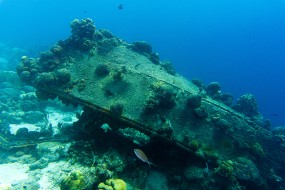 Bonaire 2024 - Nov-120