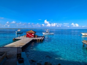 Bonaire 2024 - Nov-132